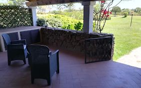 Visit San Teodoro